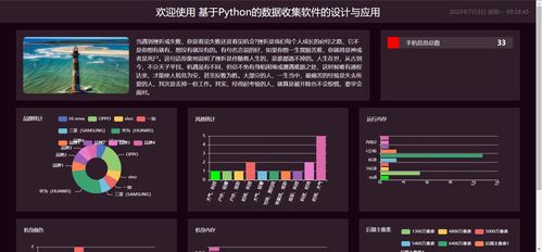 精品python手機數(shù)據(jù)收集軟件 爬蟲可視化大屏